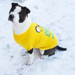 Crowded Coop, LLC Adventure Time "Jake Saliva" Pet T-Shirt 6 Crowded Coop, LLC Adventure Time "Jake Saliva" Pet T-Shirt -Hoodies Sales CRC AT151JS PC