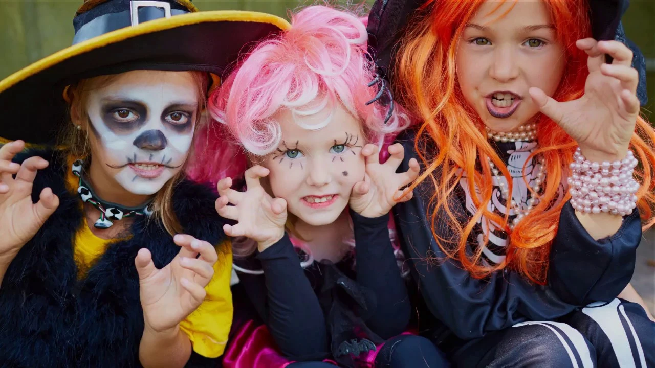 Hoodies Sales -Hoodies Sales a1